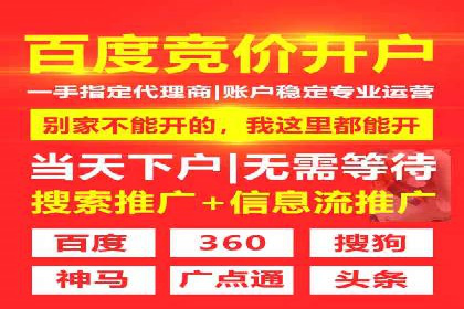 搜索引擎营销（SEM）的五大成功案例剖析